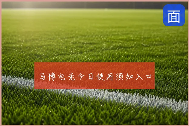 马博电竞今日使用须知入口