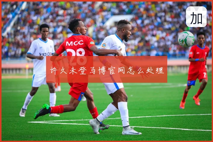 许久未登马博官网怎么处理